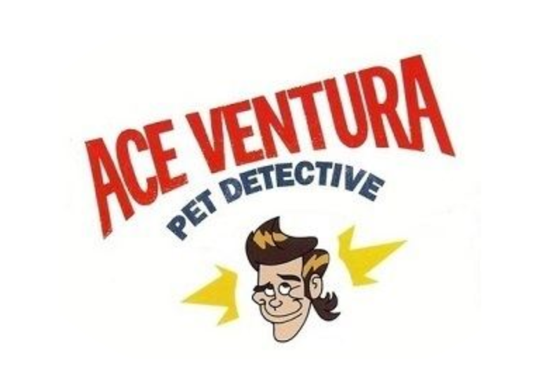 Ace Ventura: Pet Detective Complete (4 DVDs Box Set)