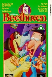 Beethoven (3 DVDs Box Set)
