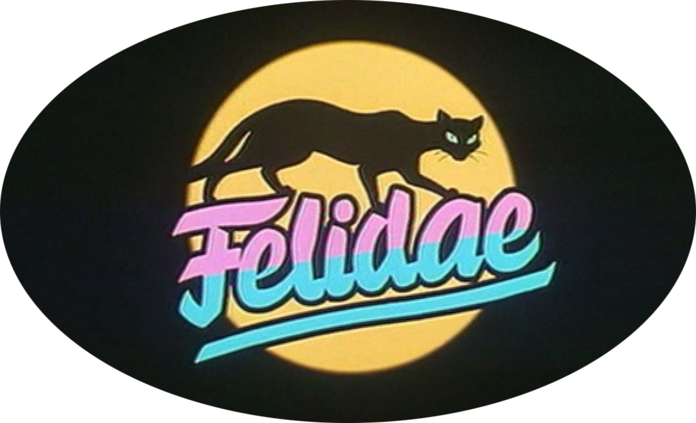 Felidae 