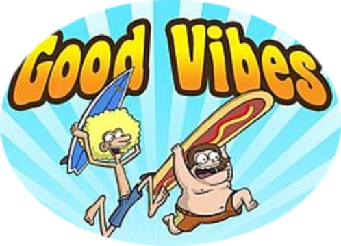 Good Vibes Complete (1 DVD Box Set)