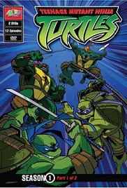 Teenage Mutant Ninja Turtles (14 DVDs Box Set)