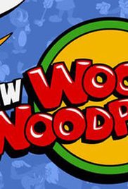 The New Woody Woodpecker Show (1 DVD Box Set)