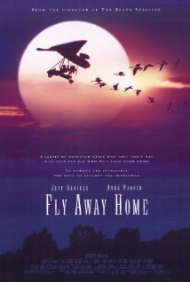 Fly Away Home (1 DVD Box Set)