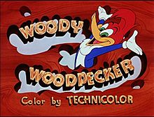 Woody Woodpecker (1 DVD Box Set)