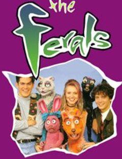 The Ferals Complete (3 DVDs Box Set)